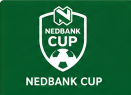 Nedbank Logo